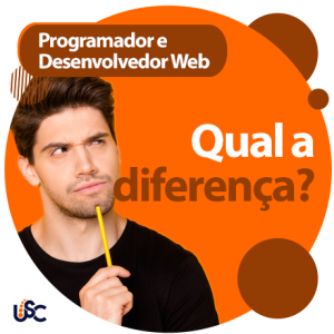 Desenvolvedor WEB e programador