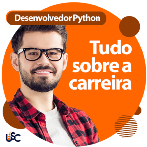 Desenvolvedor python